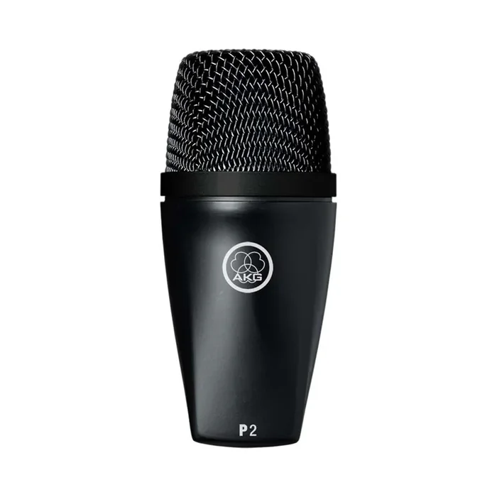 AKG P2 High-Performance Dynamic Bass Microphone