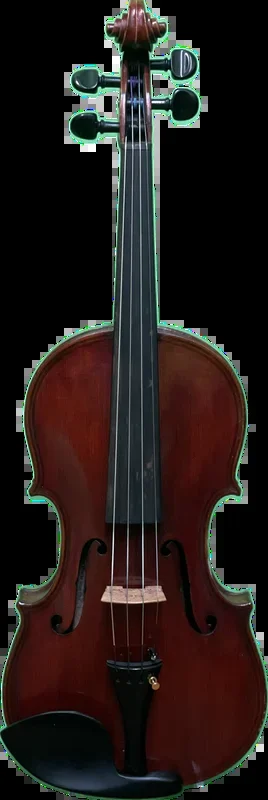 Alfred Ernst Schenk Violin 1882