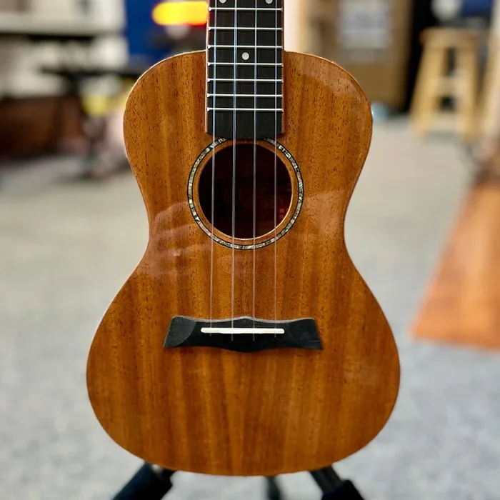 Amahi Snail SUC-M1 Mahogany Glossy Concert Ukulele w/ Gig Bag