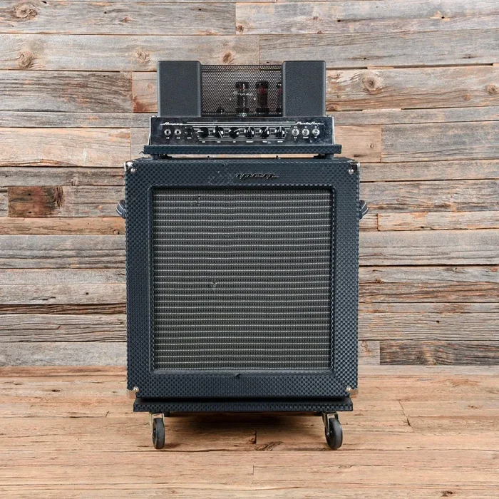 Ampeg B-15R Portaflex Amp Reissue 2005