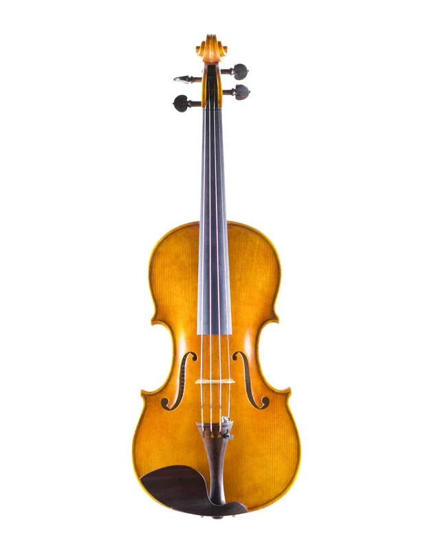 ANDREA SCHUDTZ VIOLIN