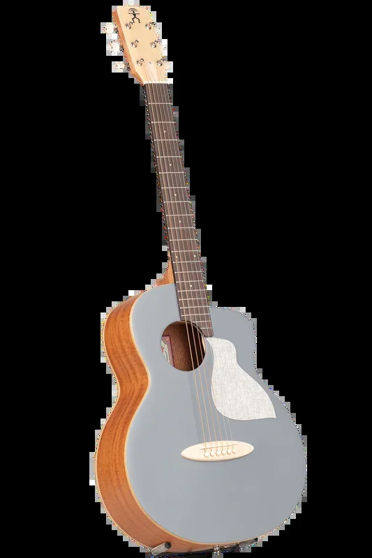 aNueNue MC10-QS Color Series Quiet Shade Guitar