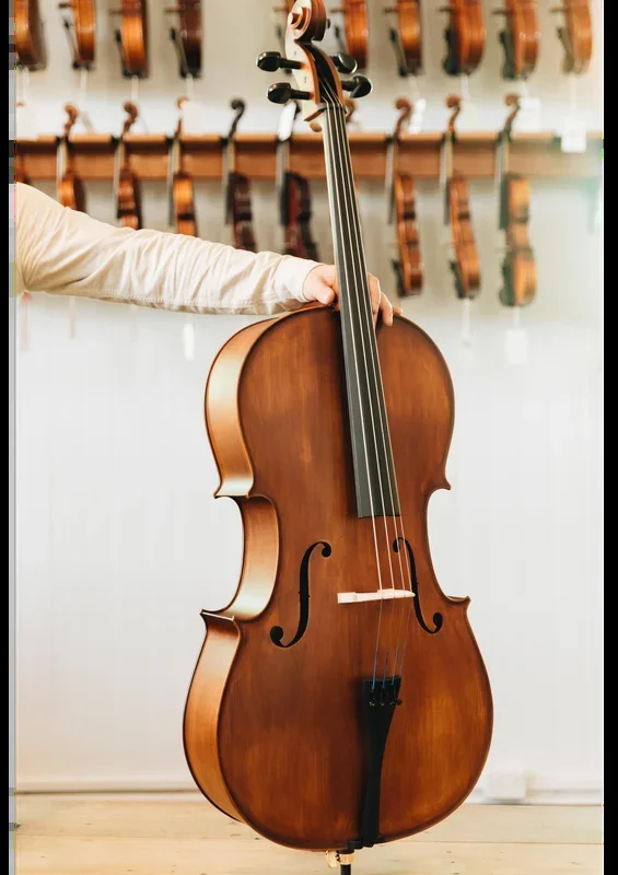 Arioso Cello Outfit