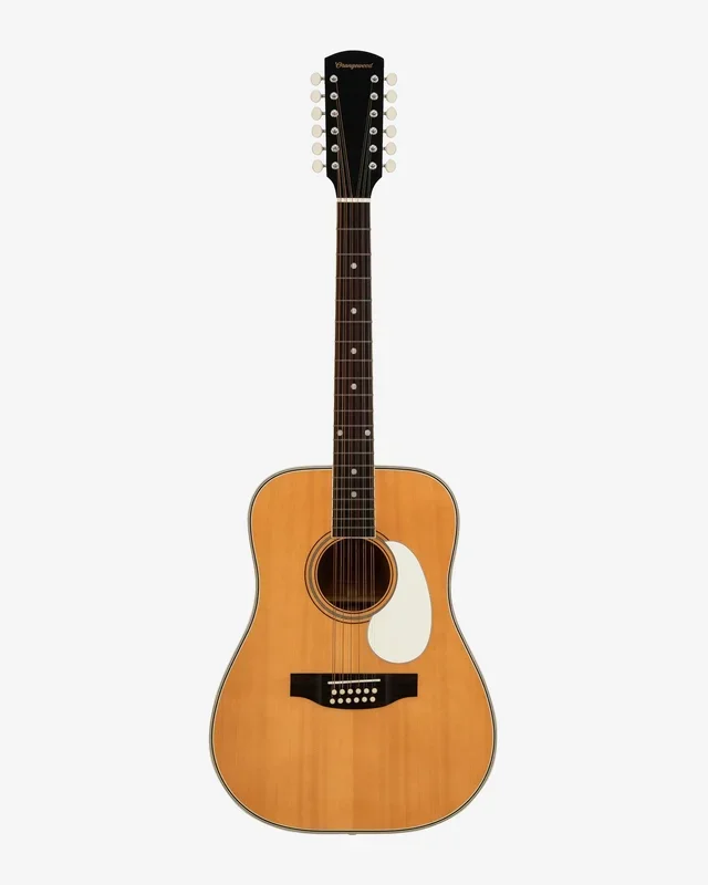 Austen Retro Live 12-String
