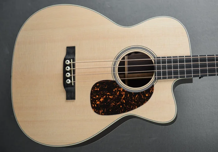 BC-16E Acoustic Bass