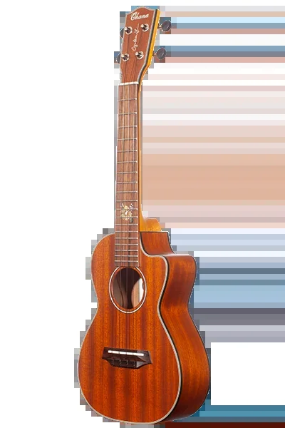 Cynthia Lin Series Solid Top Signature CK-25C-CL