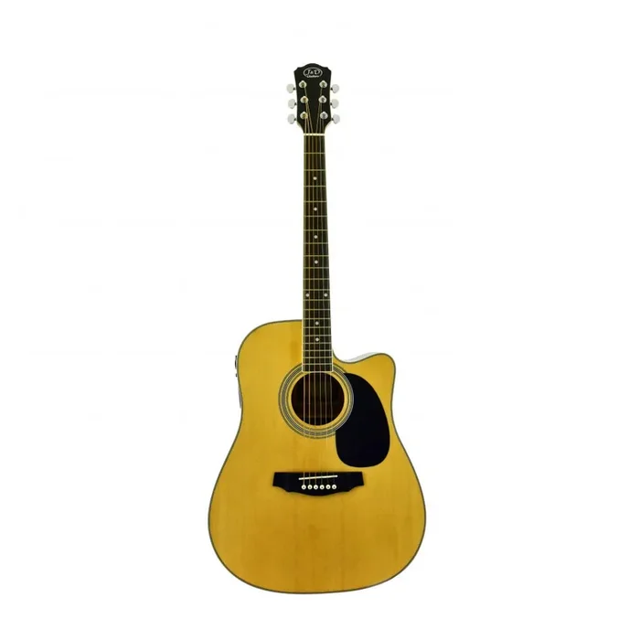 D-110CE | Acoustic Guitar