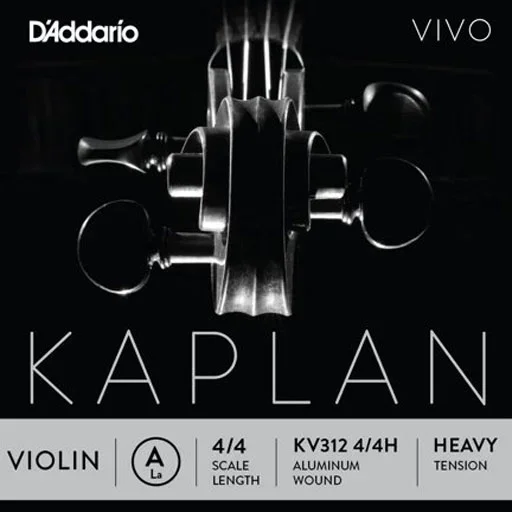 D’Addario KAPLAN VIVO 4/4 violin A string, master