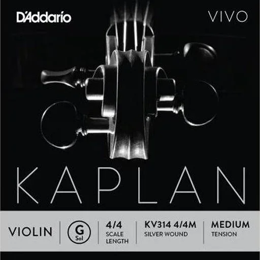D’Addario KAPLAN VIVO 4/4 violin G string, master