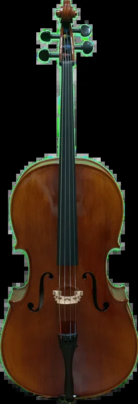 Dante Sincero Cello #4370