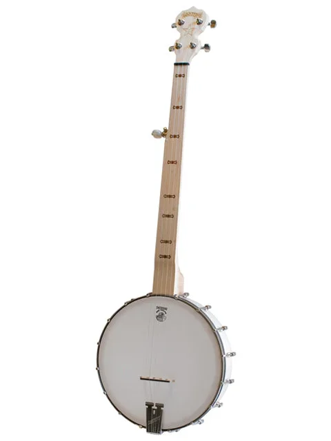 Deering Goodtime Fretless 5-String Banjo