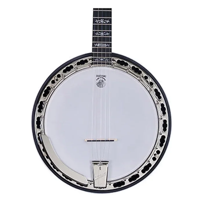 Deering Sierra 5 String Banjo