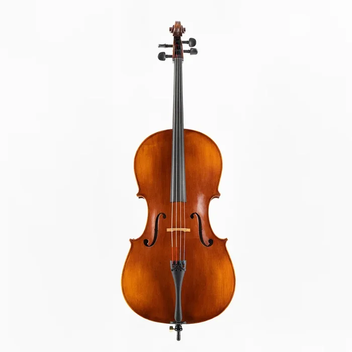 Eastman 315 Cello