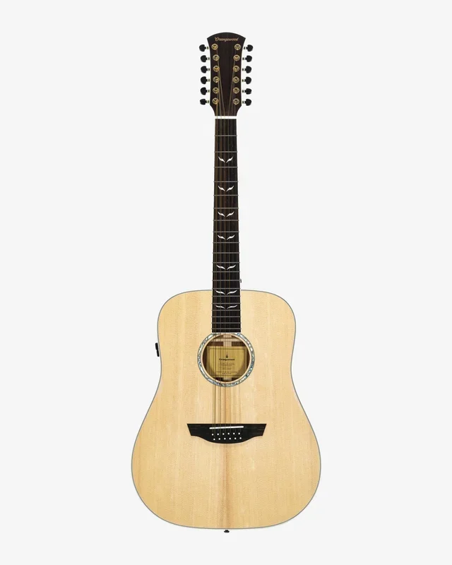 Echo Live 12-String – Almost Perfect