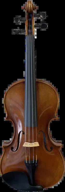 Ettore Callegari Guadagnini Violin 2022