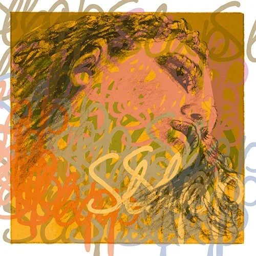 Evah Pirazzi Slap Bass Strings