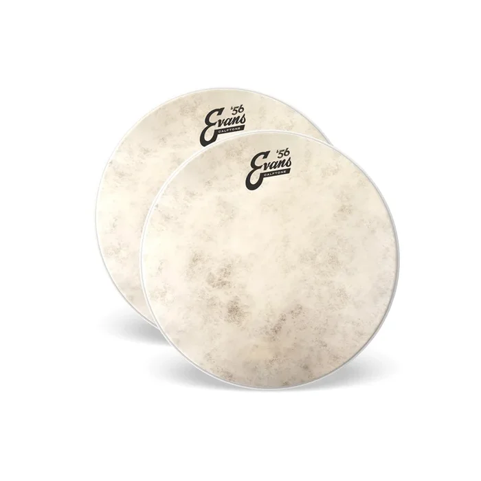 Evans 13″ Calftone Tom Head (2 Pack Bundle)