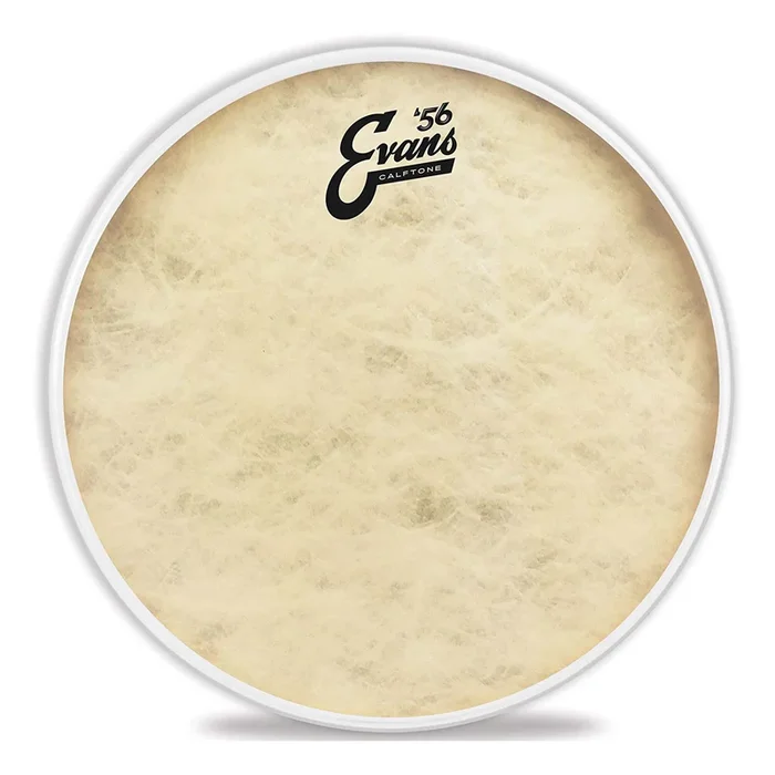 Evans Calftone Tom Batter Drumhead, 8″