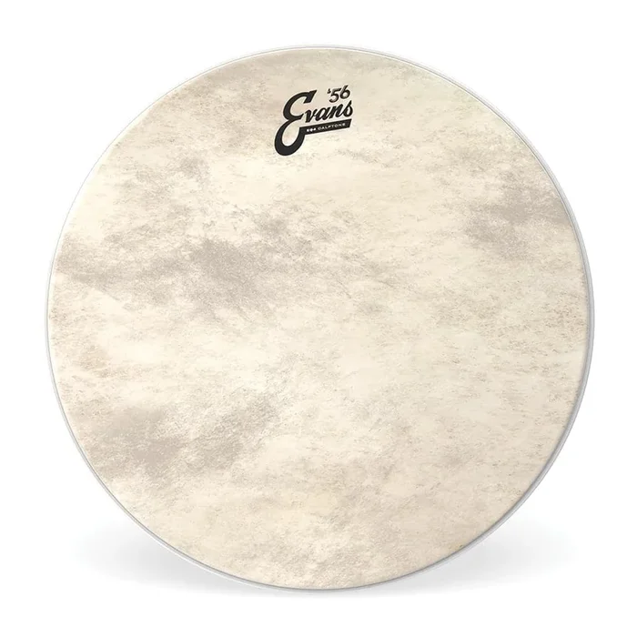 Evans EQ4 Calftone Bass Drumhead 22″