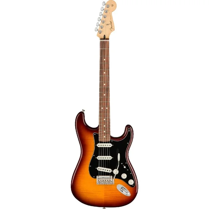 Fender Player Stratocaster Plus Top Electric Guitar
