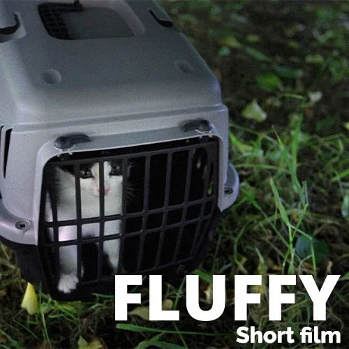 Fluffy (Short Film)