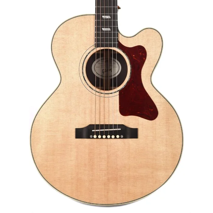 Gibson Montana Parlor Rosewood M Antique Natural