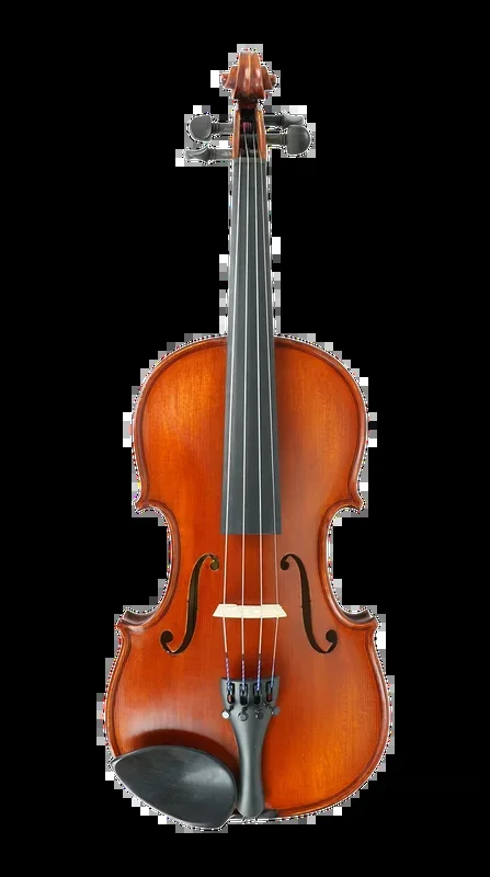 Gliga I Violin Outfit with Dark Antique Varnish 4/4