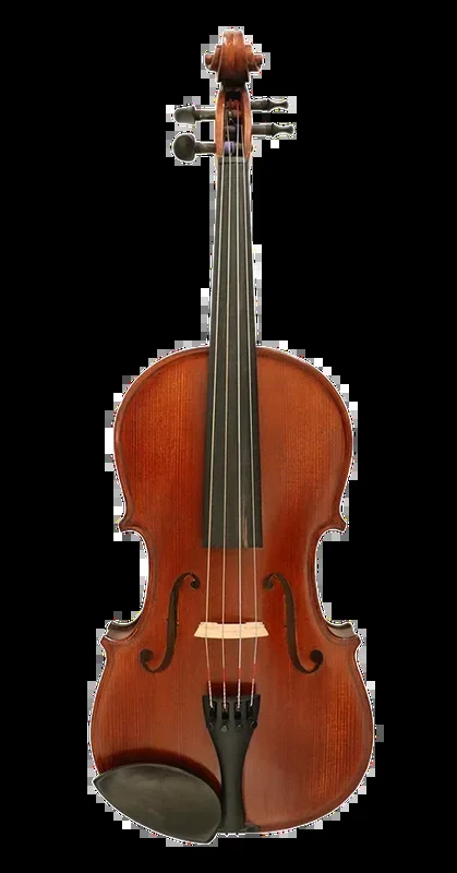 Gliga II Viola Outfit with Antique Varnish 15″