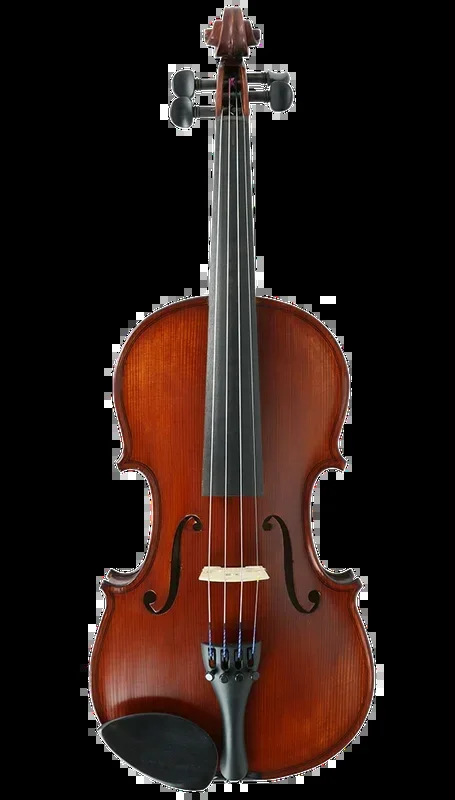 Gliga II Violin Outfit with Dark Antique Varnish 3/4