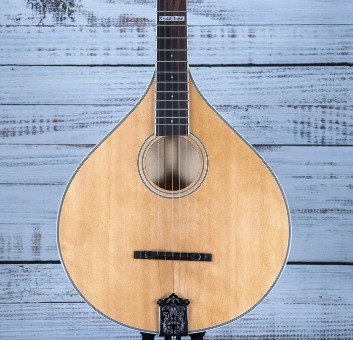 Gold Tone Banjola+ | Woodbody Banjo with Pickup and Bag