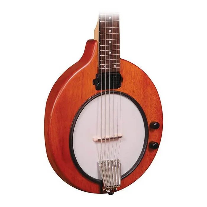 Gold Tone EB-6 Electric Banjitar with Gig Bag