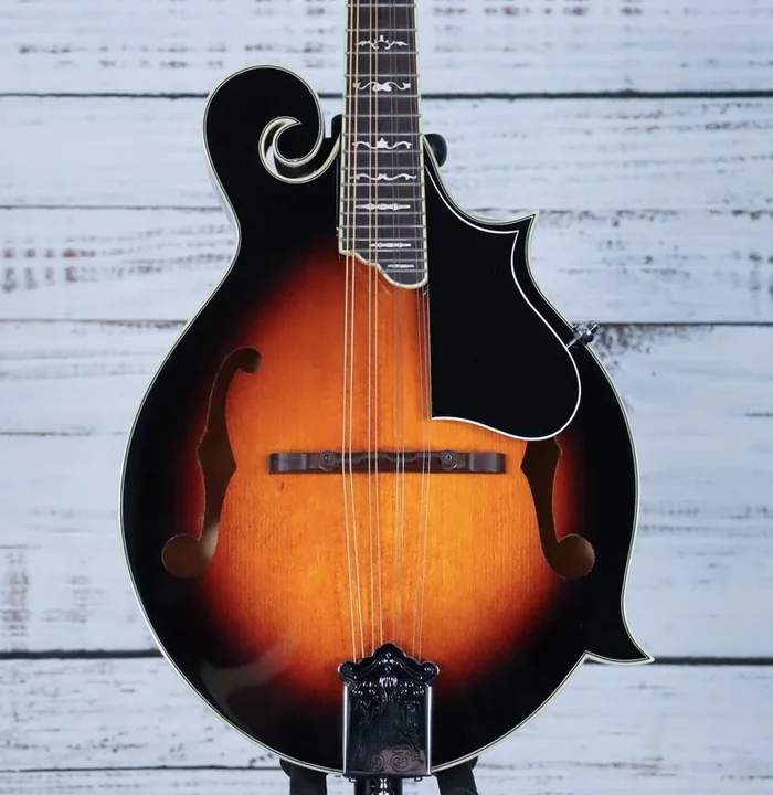 Gold Tone GM-35 F-Style Mandolin | Entry Level