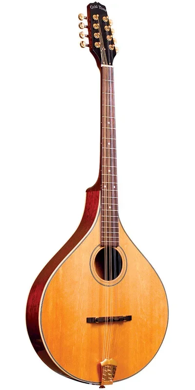 Gold Tone OM-800+ acoustic / electric Octave Mandolin