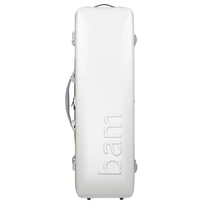 GRAFFITI HIGHTECH OBLONG VIOLA CASE
