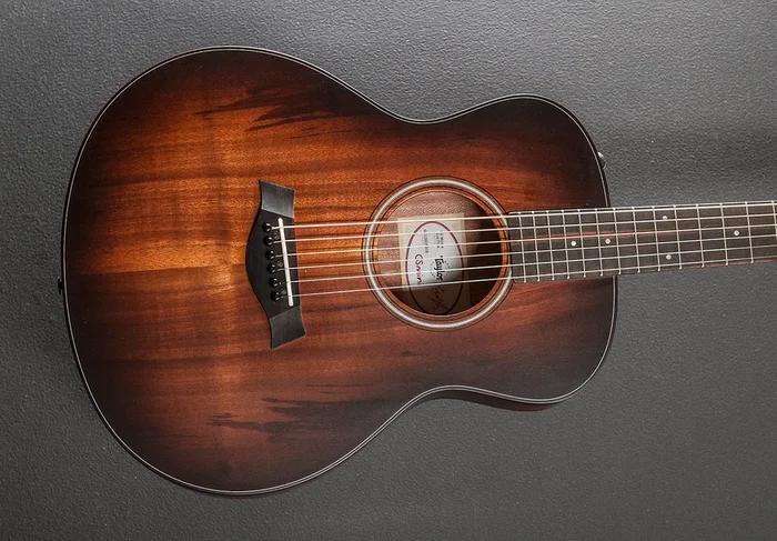GS Mini-E Koa Plus ’25