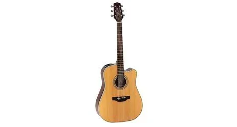 Guitar Takamine G Series GD20-CE-NS Guitar