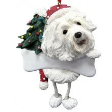 Havanese
