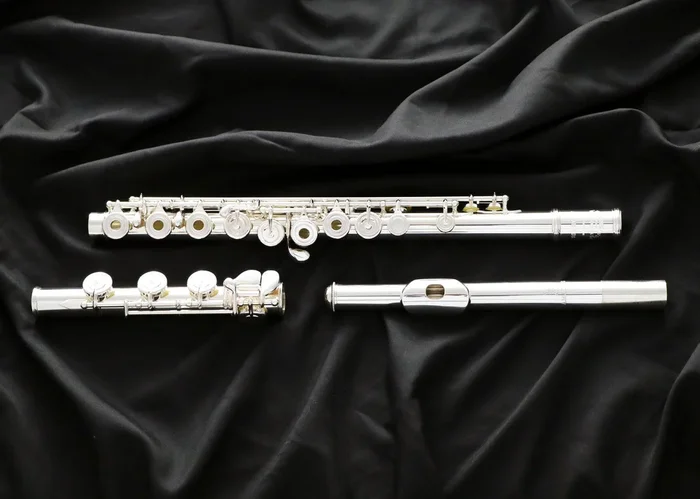 Haynes Amadeus 780 Flute