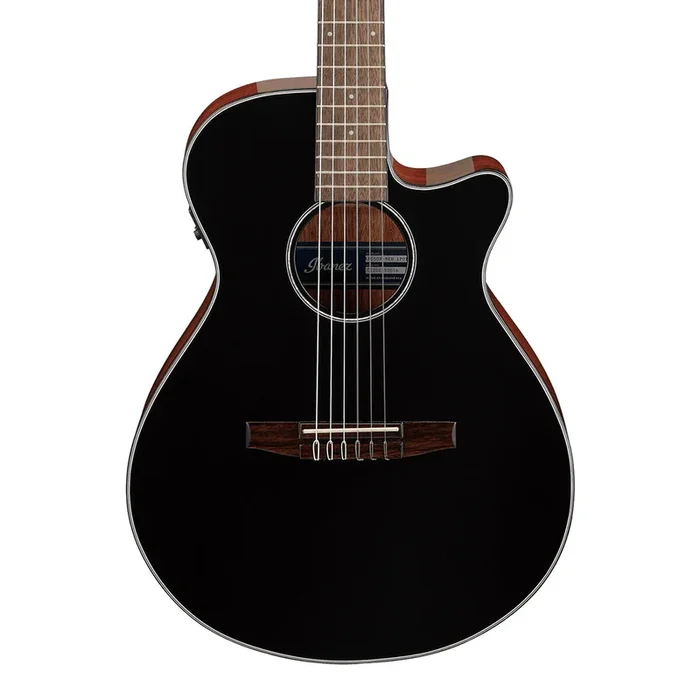 Ibanez AEG50N BKH Acoustic Guitar