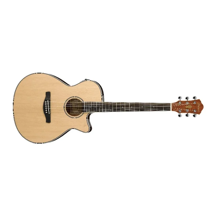 Ibanez AEG8E Electro-Acoustic Guitar