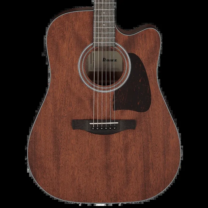 Ibanez AW54CE – Open Pore Natural