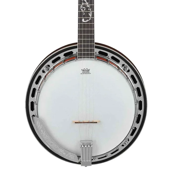 Ibanez B200 5-String Banjo