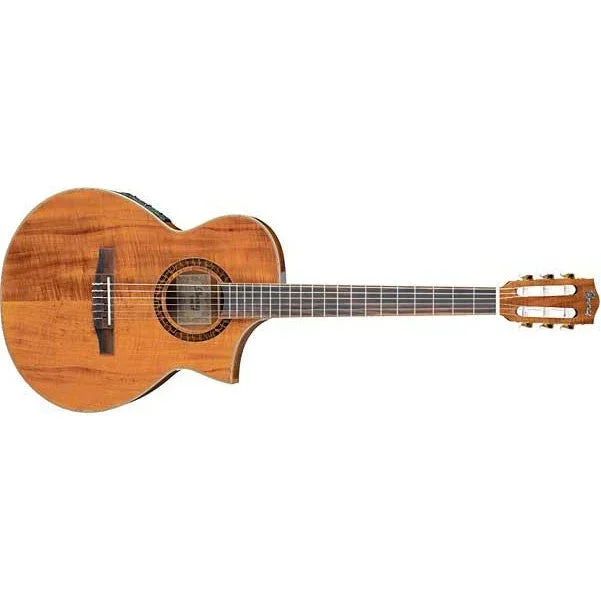 Ibanez EWN28KOENT Nylon String Electro Acoustic Guitar