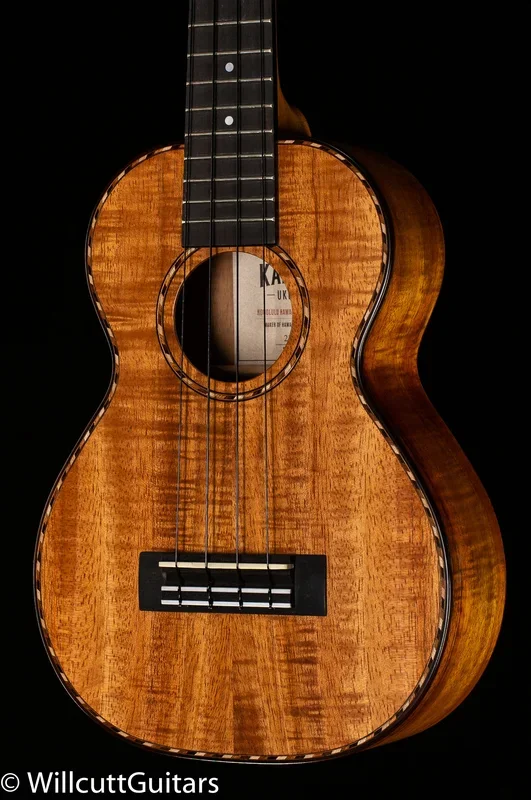Kamaka HF-DI Ukulele Concert Deluxe Slotted Head with Case (101)