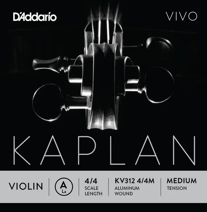 Kaplan Vivo violin A