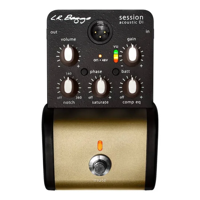 L. R. Baggs Session DI
