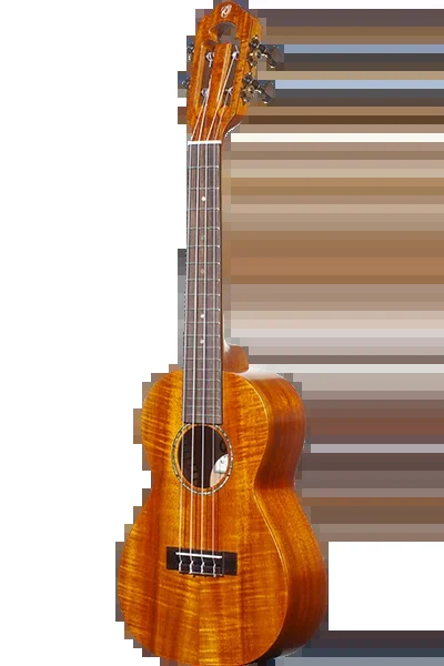 Limited Edition 450 Series