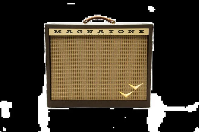 Magnatone Panoramic Stereo Combo Spanish Moss