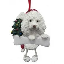 Maltipoo
