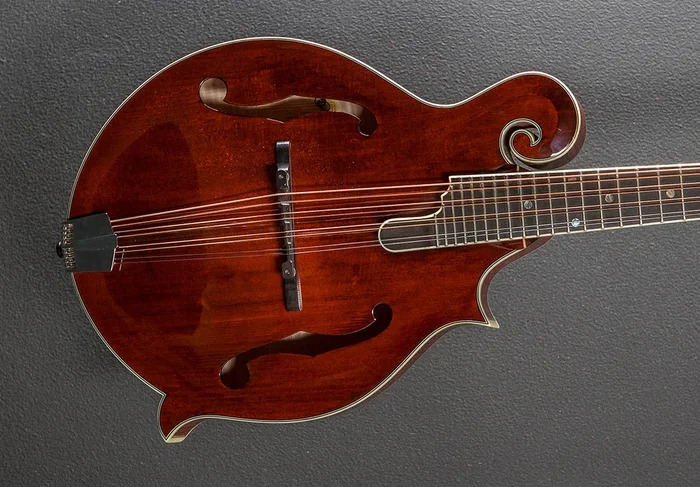 MDA815 Mandola ’23